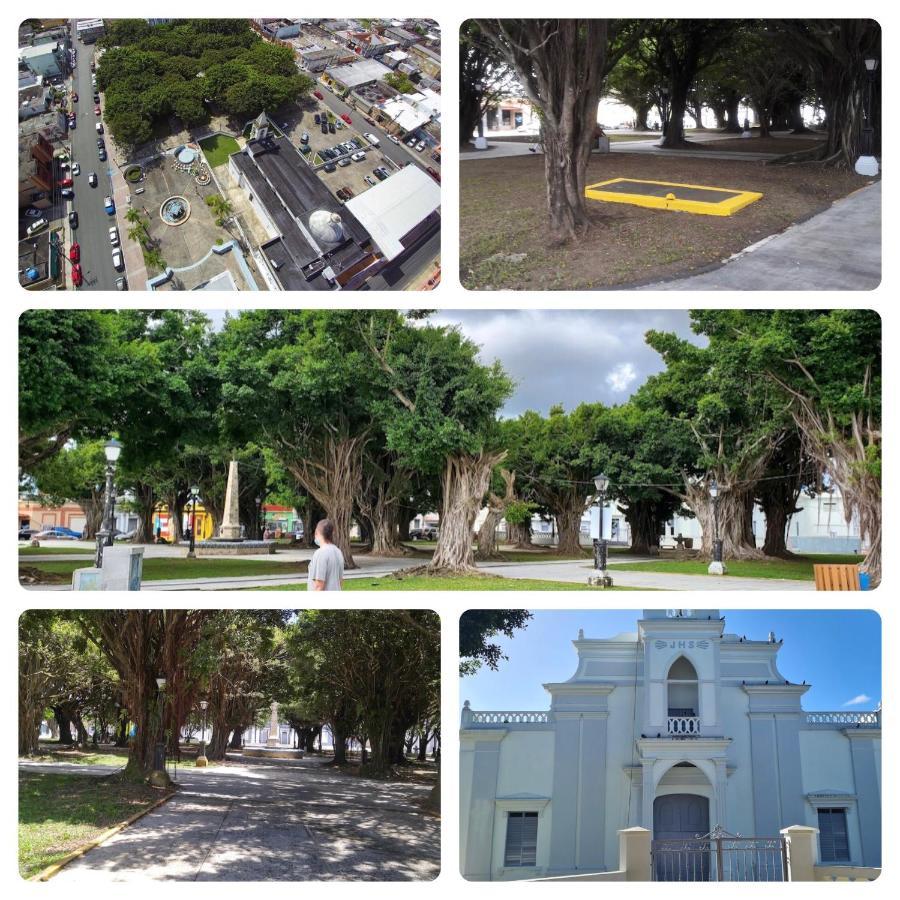 Lacasitadelmalecon Naguabo Bagian luar foto